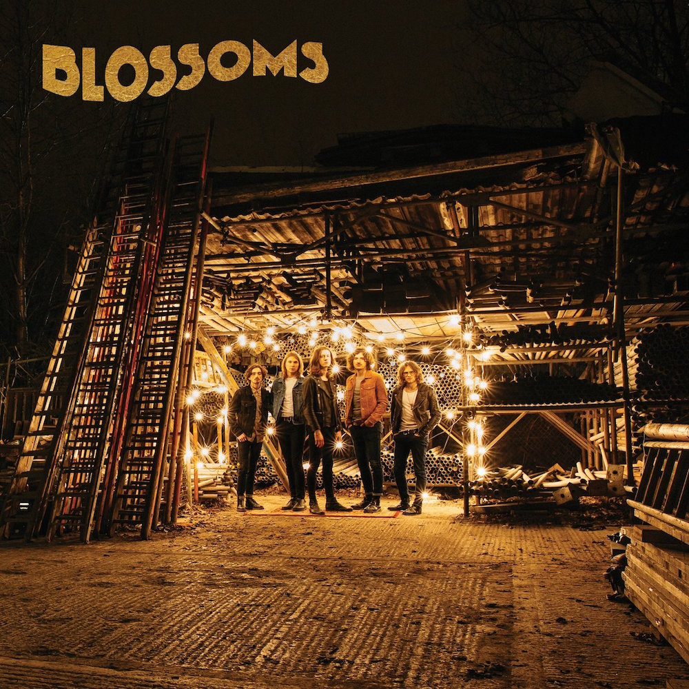 Blossoms ‎– Blossoms