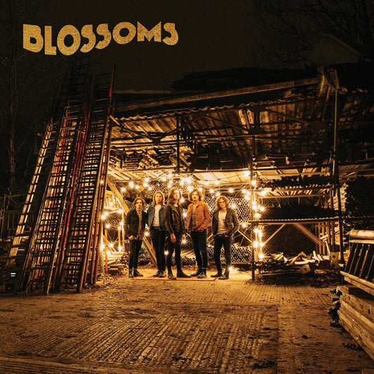 Blossoms ‎– Blossoms