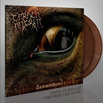 Carach Angren - Lammendam - Orange and black marbled double vinyl, LTD to 400 copies!