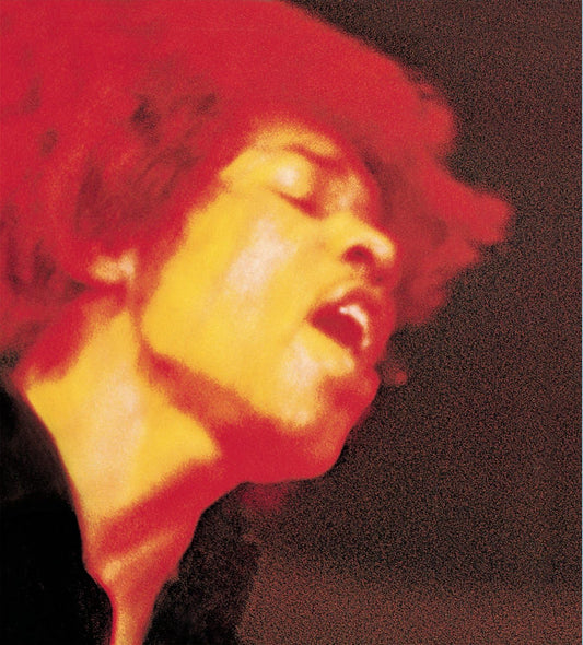 The Jimi Hendrix Experience – Electric Ladyland - 2 x 180 GRAM VINYL LP SET USA ISSUE