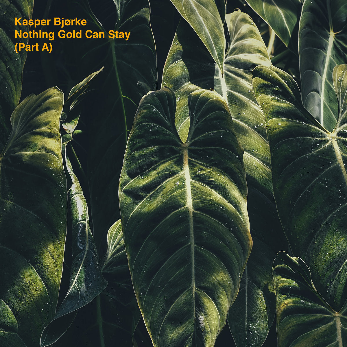 Bjørke, Kasper  - Nothing Gold Can Stay (Part A)