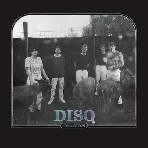 Disq - Collector - Vinyl Record